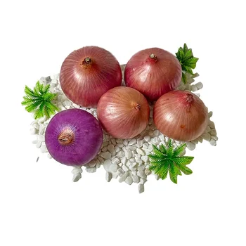 2024 Hot Sale Wholesale High-Quality Fresh Red Onion/Onion Exporters