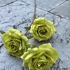 2#  Offerta speciale: 3 teste di rosa verde "Sunshine"