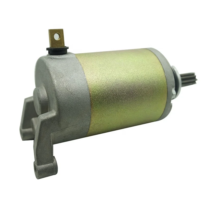 Genuine Apache 100 2-Stroke Starter Motor - New Quad / ATV Part