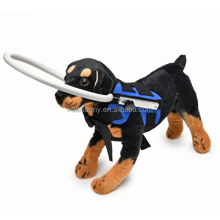 blind dog protector