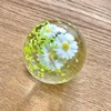 Margarita de primavera