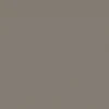 Roman Silver Brown