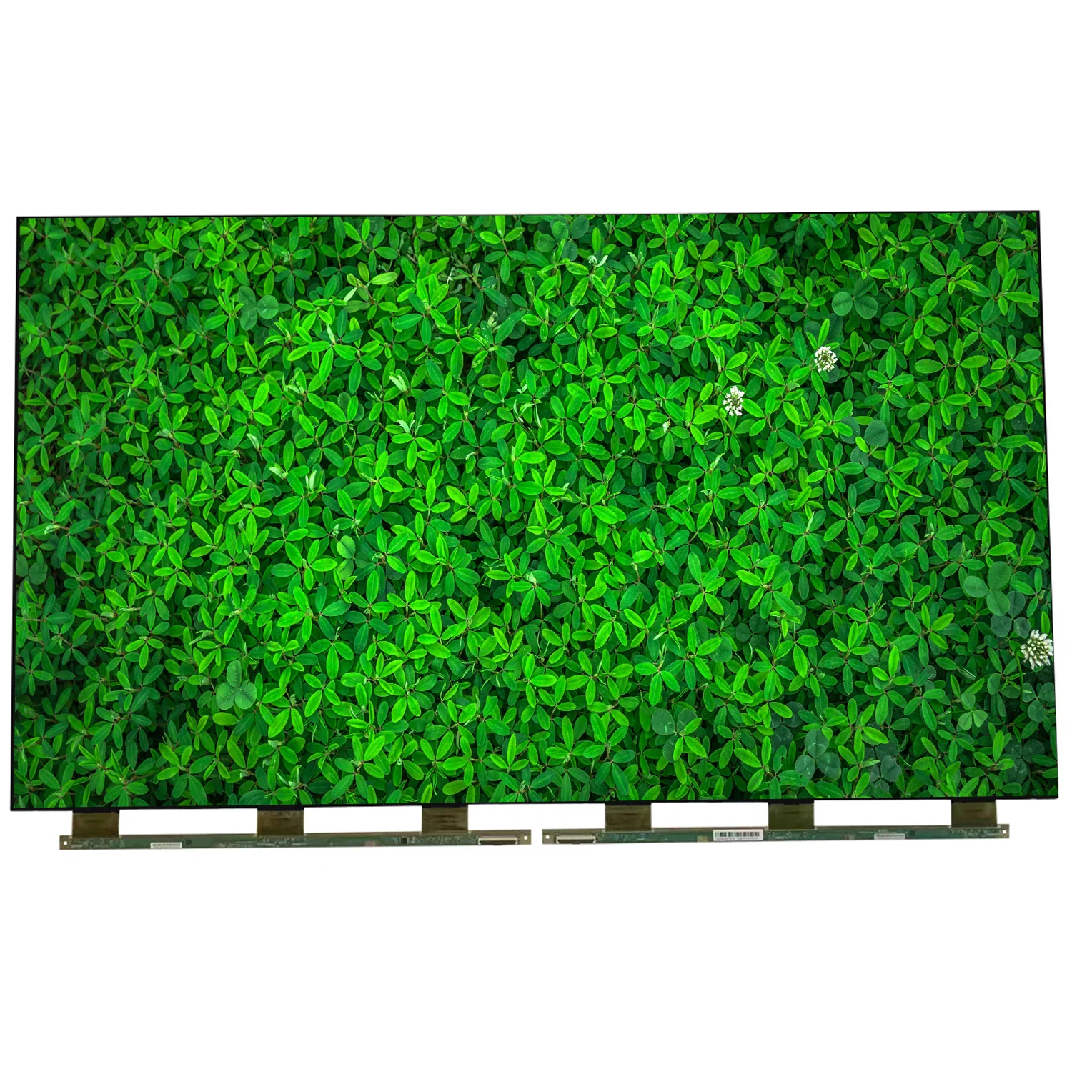 CC430LV1D PANDA 43 Inch TV Screen Replacement FHD LCD Panel