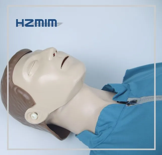 Half Body Model Cpr Medical Nursing Training Manikin,Cpr Dummy Buy