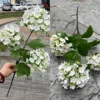 3-head wooden hydrangea white