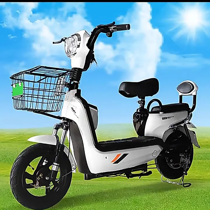 2023 Hot Selling Chinese Electric Bike,Adults Electric Scooter - Buy ...