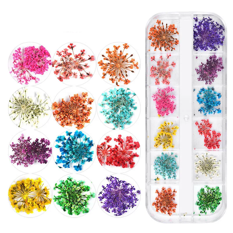 New Japanese Nail Dry Flower 12 Color Sky Star Sunflower Small Daisy 12