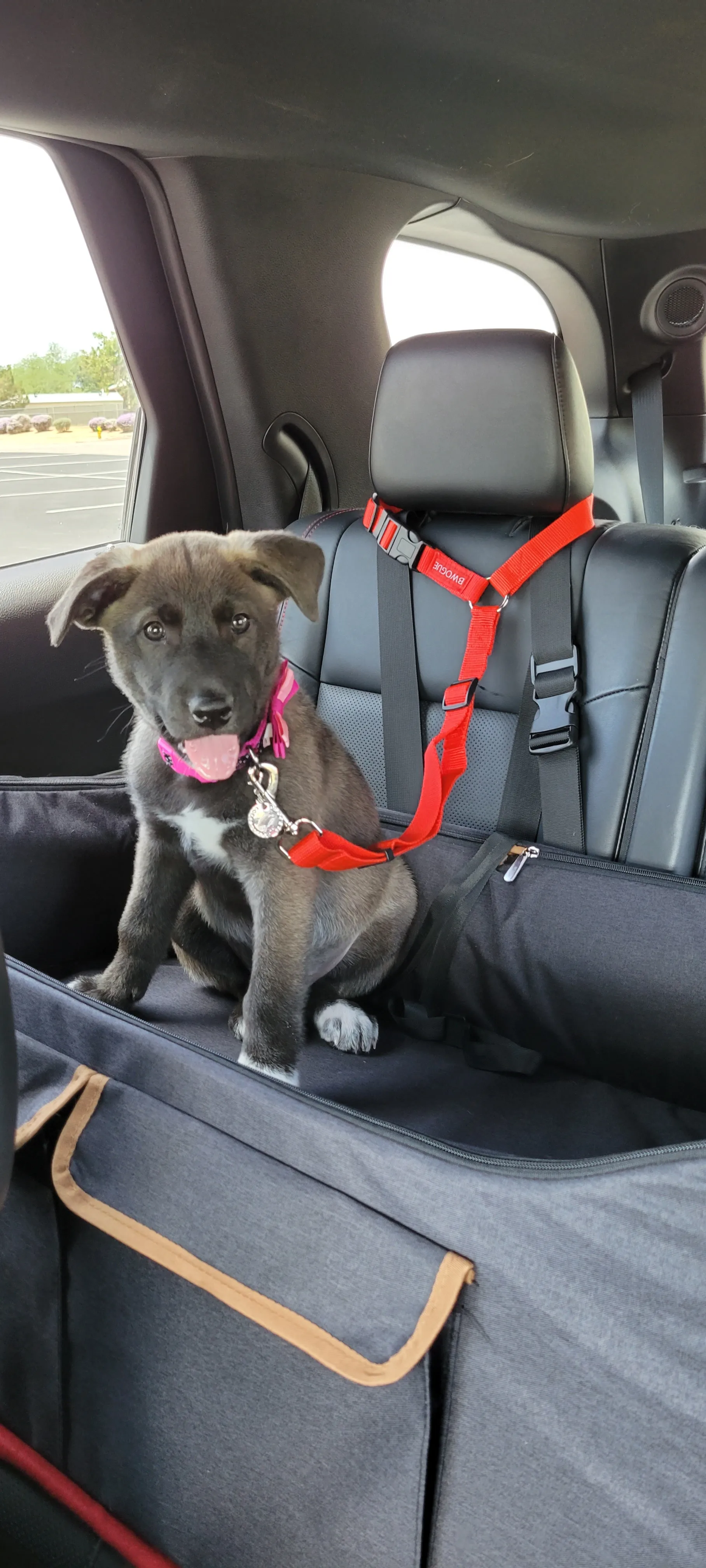 Customized Adjustable Pet Dog Seat Belt Reflective Dog Car Retractable Elastic Reflective Belt