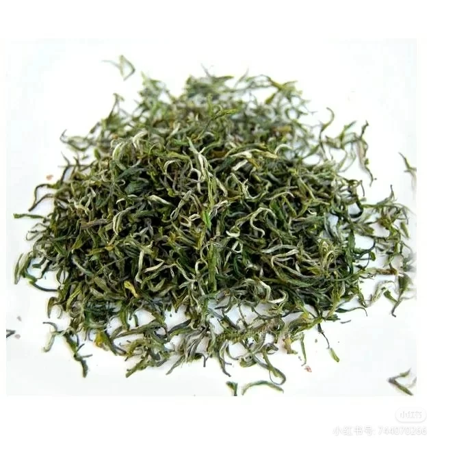 Early spring  superior  Mao Feng Green Tea Jing Shan Tea