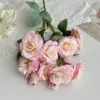 Rosa claro (1 rama con 12 flores)