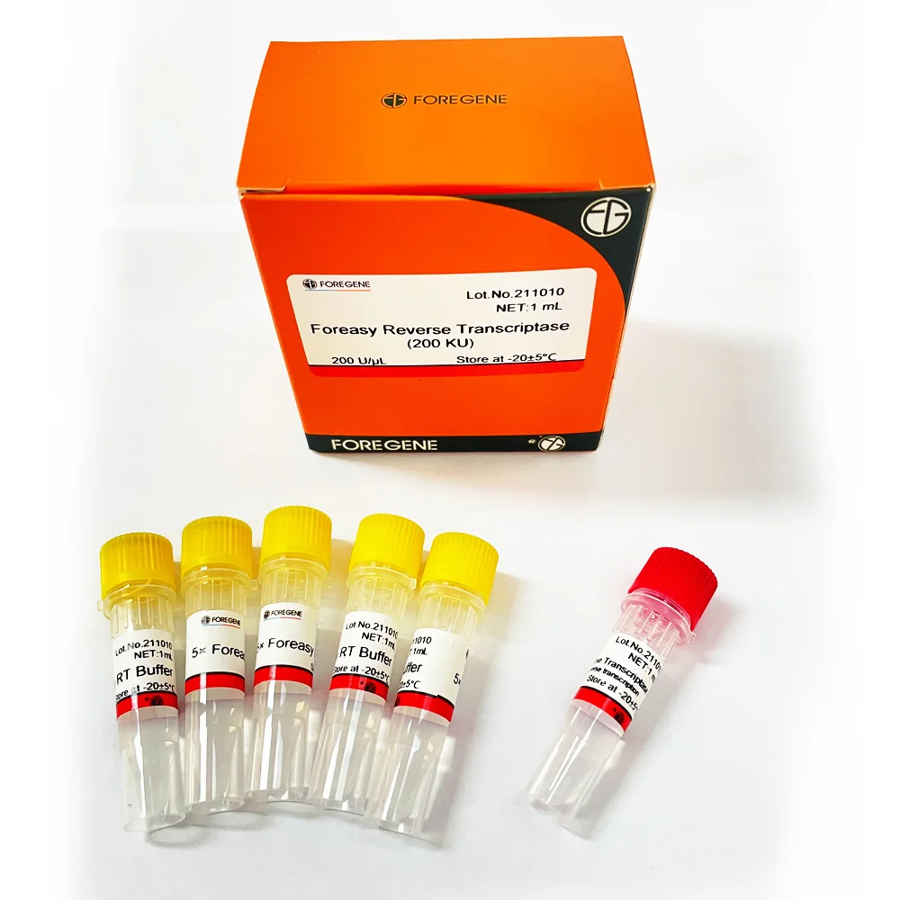Lab Reagent Foreasy Mmlv Reverse Transcriptase Enzymen For Rt Pcr