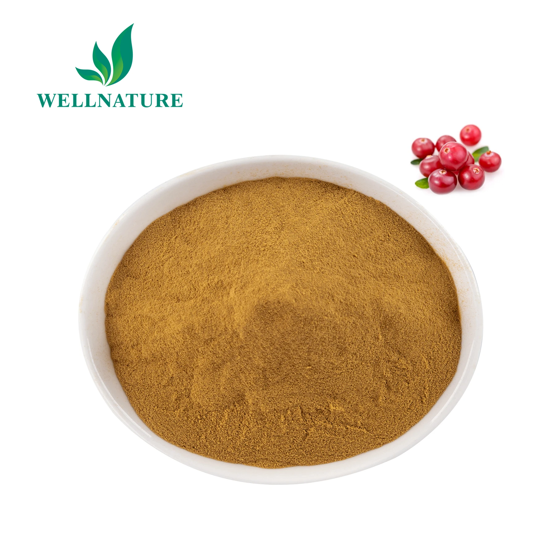 High Quality Organic Dried Cranberry Fruit Powder 101 Cranberry