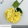 Hortensia búlgara individual XQ Amarilla