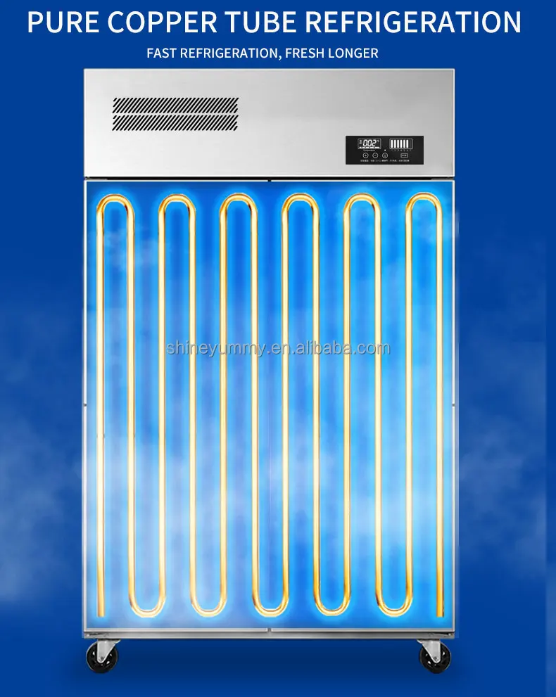 Stainless Steel Restaurant Kitchen Vertical Freezer Refrigerator