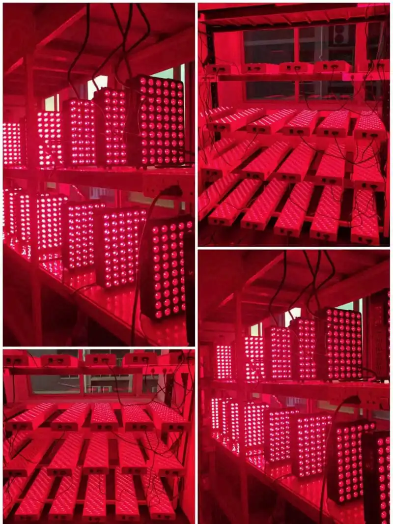 Avatar Factory Direct Supply 300W Deep Red 660nm Light Therapy Panel Far Infrared 850nm Lamp Panel Red Light Therapy Lamp