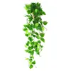 Five-pronged wall hanging - pothos leaves