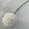 Blanc, boule d'oignon unique