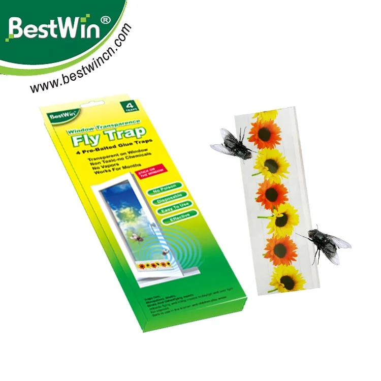 Fly Clear Window Fly Traps Bug Fly Killer Window Decal Non-Toxic