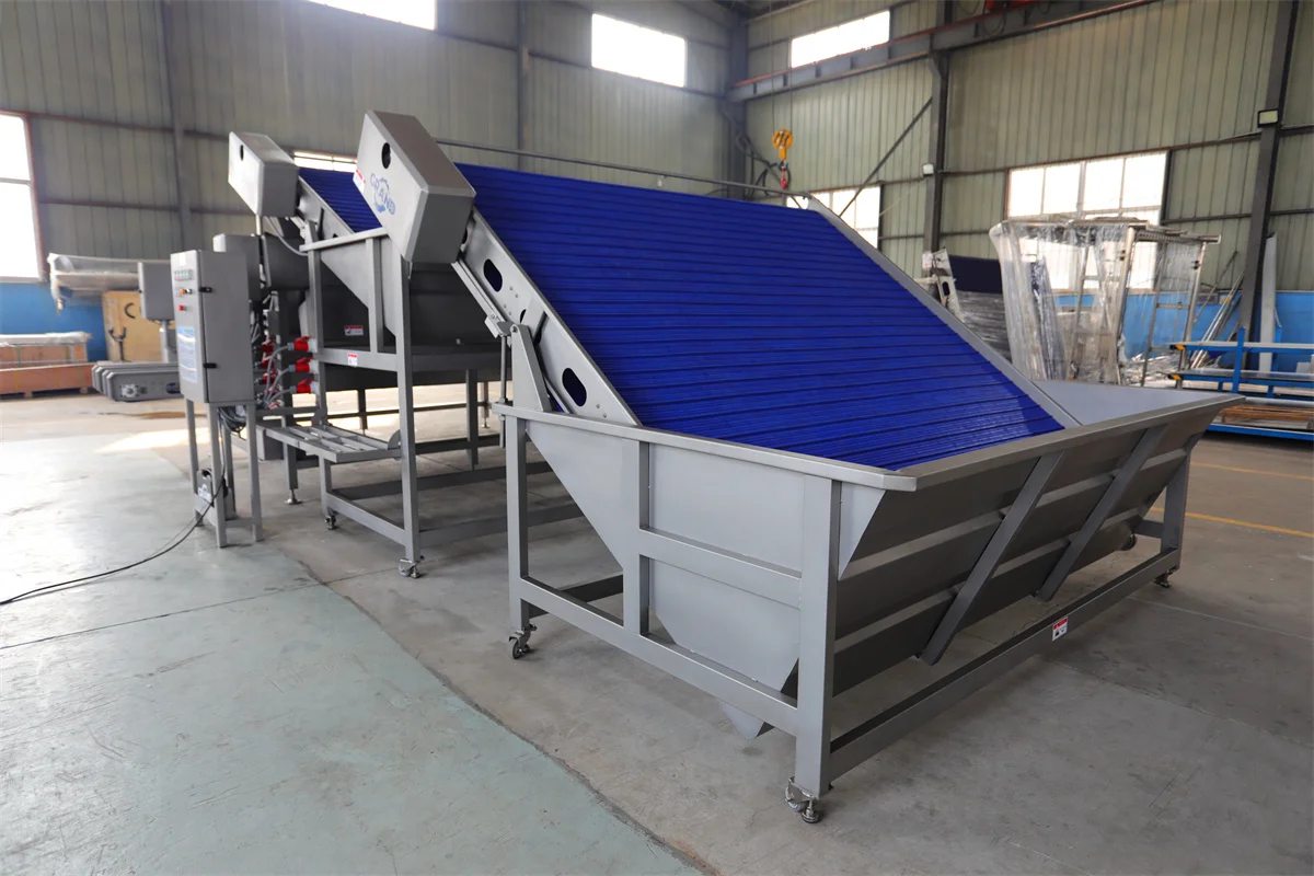 Shrimp Classifier Prawn Grading Machine Automatic Shrimp Sorting Machine