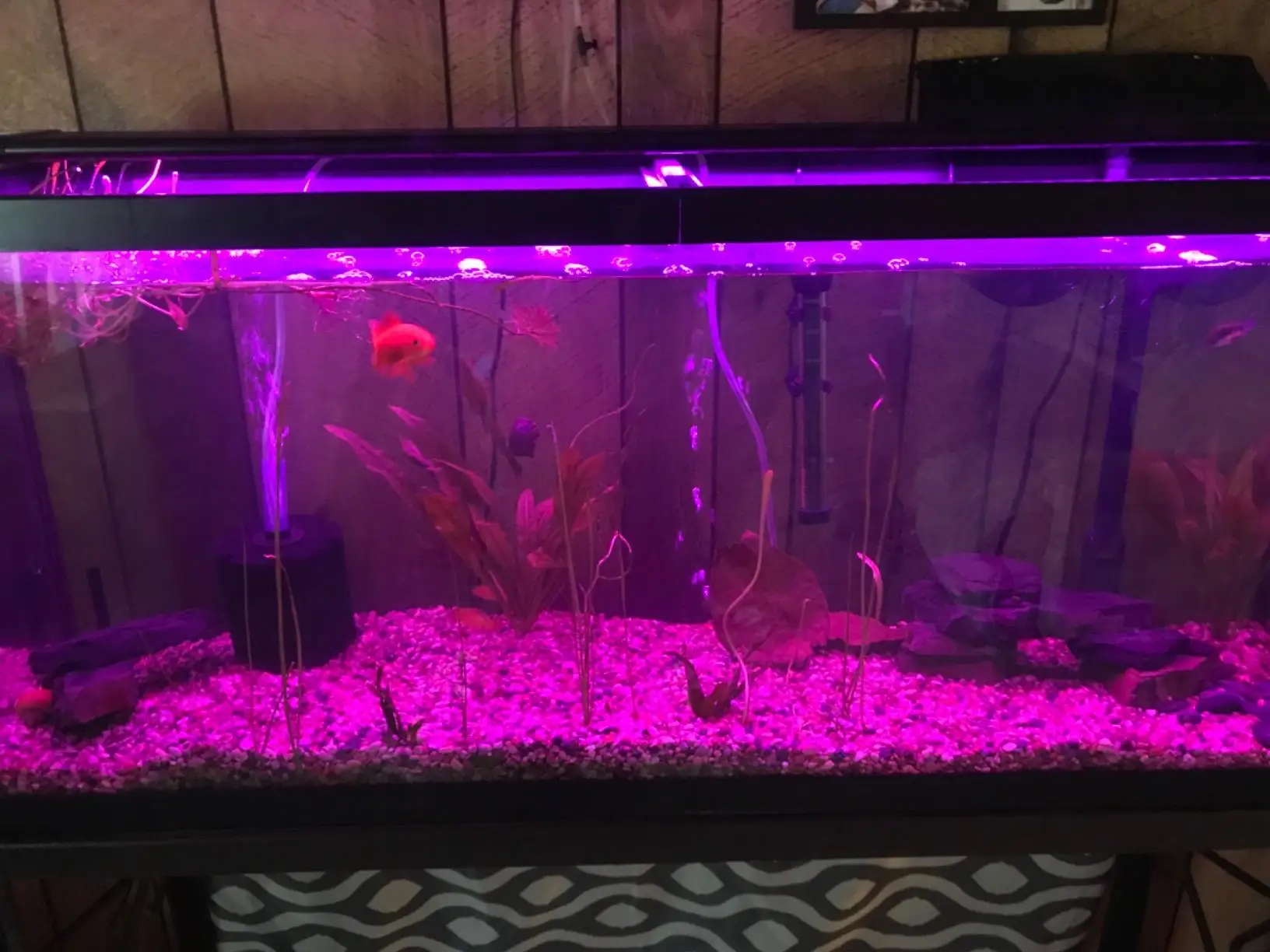 48inch Sunrise Simulation Rgb Premium Programmable Led Aquarium Light