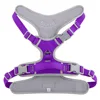 Morado
