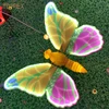 Vert 64Papillon