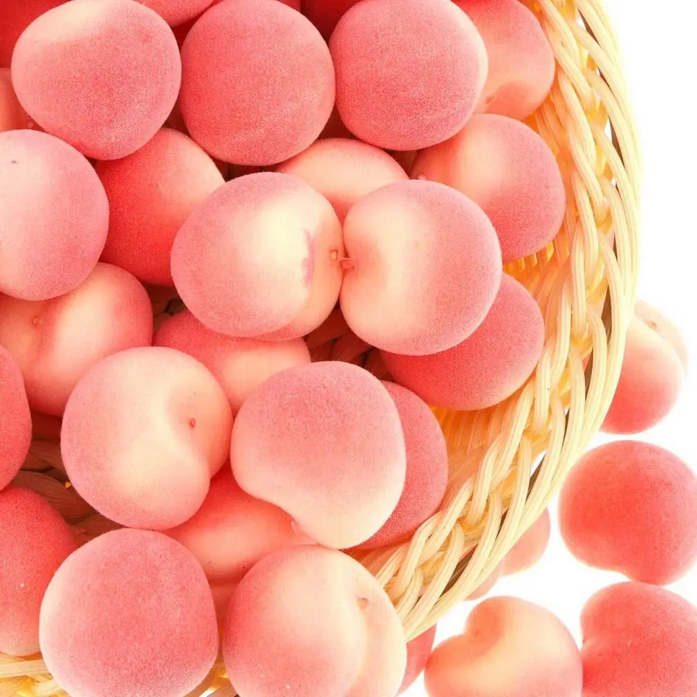 VIE Mini Pêches Artificielles 20 Pcs Artificielle Mini Pêches Ornement