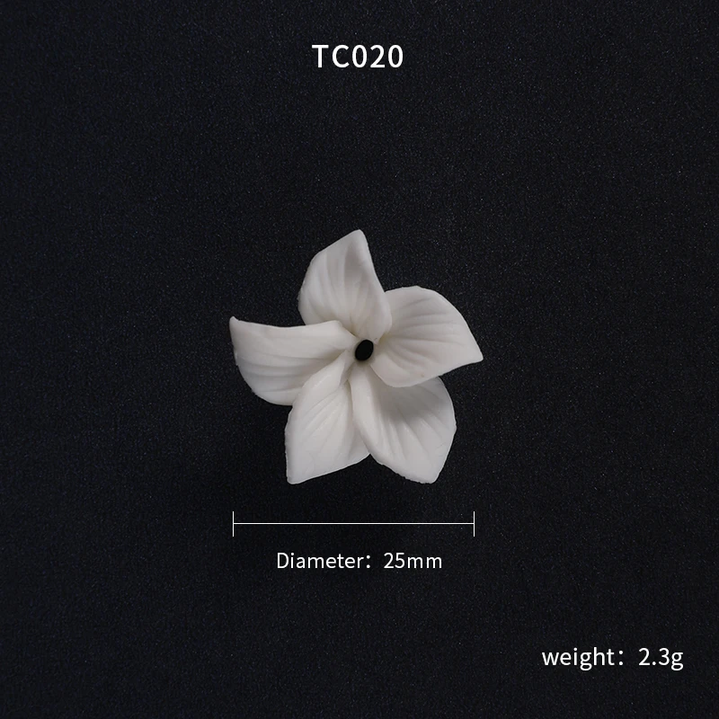 TC020.JPG
