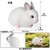 coloré 3847 Lapin blanc mignon