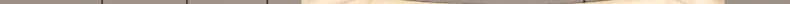 Extended company profile
