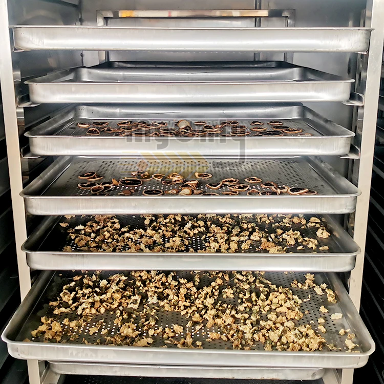 Heated air High Temperature Drying Oven Hot air Circulation Oven Vegetable Herb Fruit Drying Oven