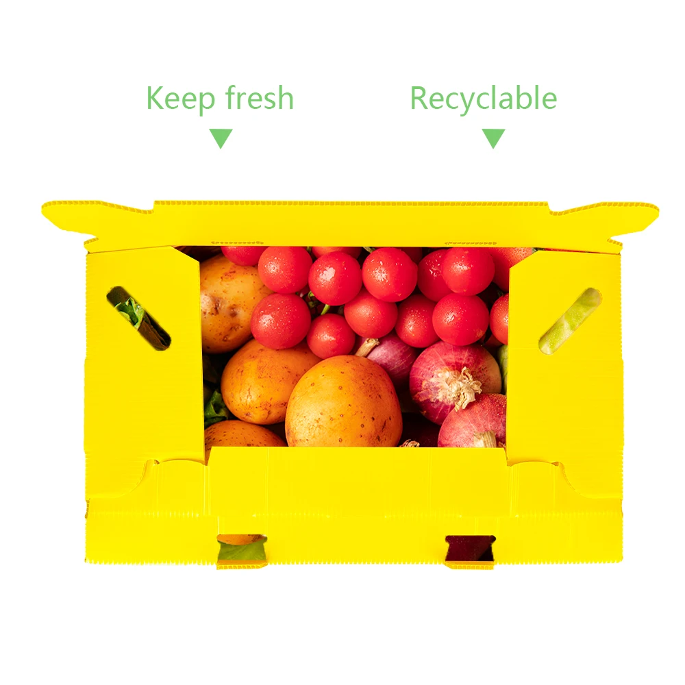 Custom Recyclable Corrugated Cardboard Packaging Box for Fruits & Vegetables Hollow Sheet Orange Fruit Vegetable Gift Packaging