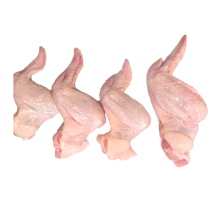 
Wholesale Frozen Large 3 Joints Chicken WingsFrom Poland For Sale 