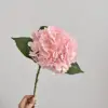 Rose clair