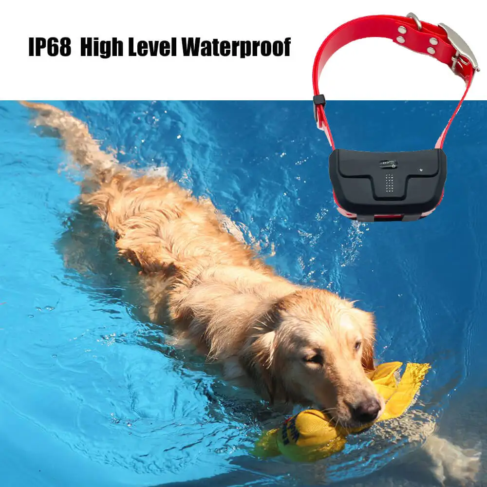4G IK122 PRO DOG GPS  (9).jpg