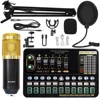 Conjunto de tarjeta de sonido Black-Gold BM800+V10xPro