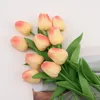Cream peach pink