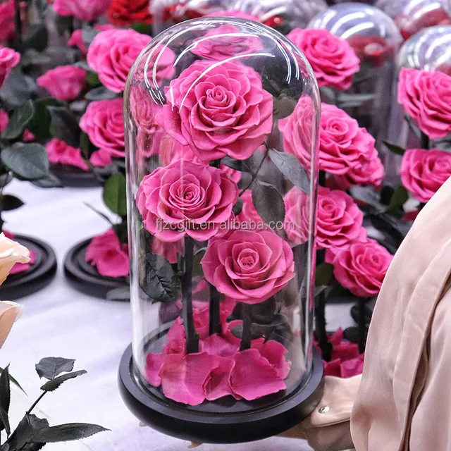 High Quality Eternal Rose Led Flowers Morthers Day Everlasting Preserved Flower Forever Roses In Glass Dome