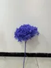 Morado oscuro