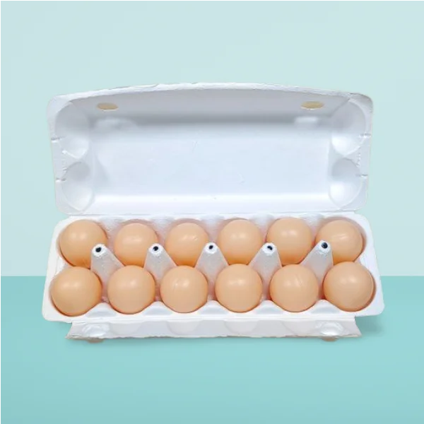 Compostable Labelling Dozen Recycled Paper Pulp Molded Egg Carton