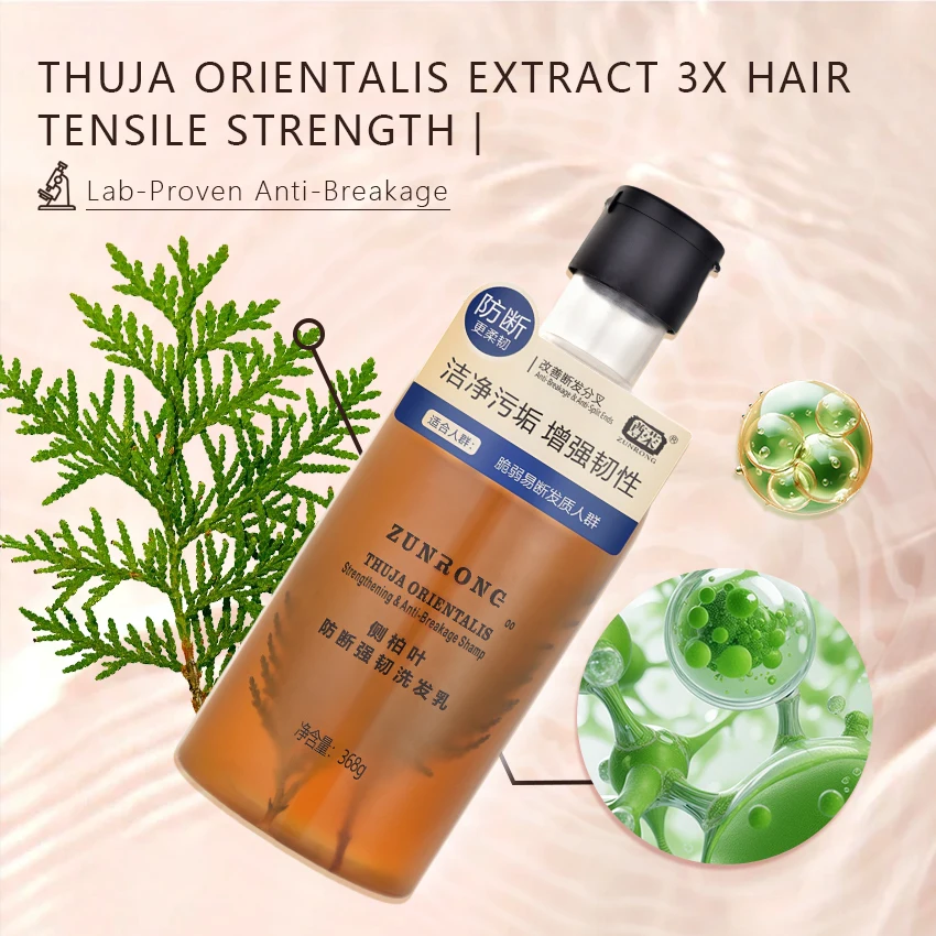 Best Selling Bulk Order Factory Price Customized Logo Organic Thuja  Orientalis Extract Hair Care Anti Hair Loss Herbal Shampoo