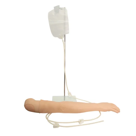 Advanced Intravenous Infusion Arm Model IV Injection Training Arm Model