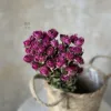 Sophie Baby Flower Head 30 Flowers Diameter about 1-2cm
