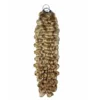 #p27/30/613  burmese curly
