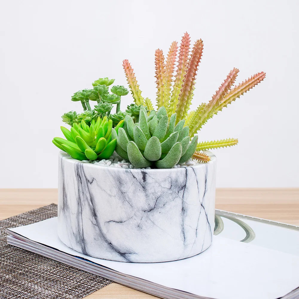 
 Готовый к отправке Мини Искусственные суккуленты в горшках в наличии  