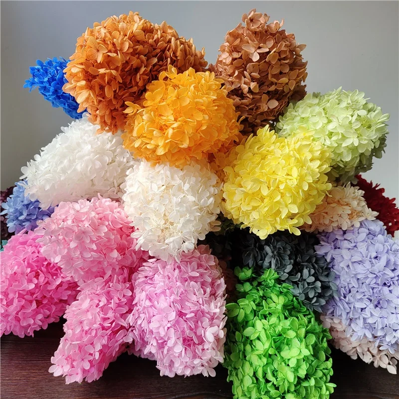 Wholesale Dry Hydrangea Dried Flowers Plants Preserved Pagoda Wood Hydrangea Flowers Buy Dried
