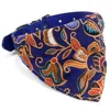 XQ041 Blue