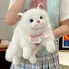 Chat Ragdoll blanc + bavoir noeud bleu