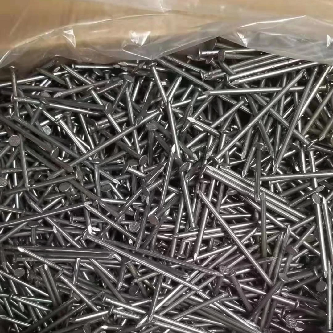 Common Polished Iron Nails Common Iron Spikes Nails Customized Package Common Nails
