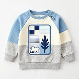 OEM ODM New Arrival Fall Kids Clothing Boys Girls Custom Pattern Cartoon Printed Skin-friendly Children Sweatshirts Top
